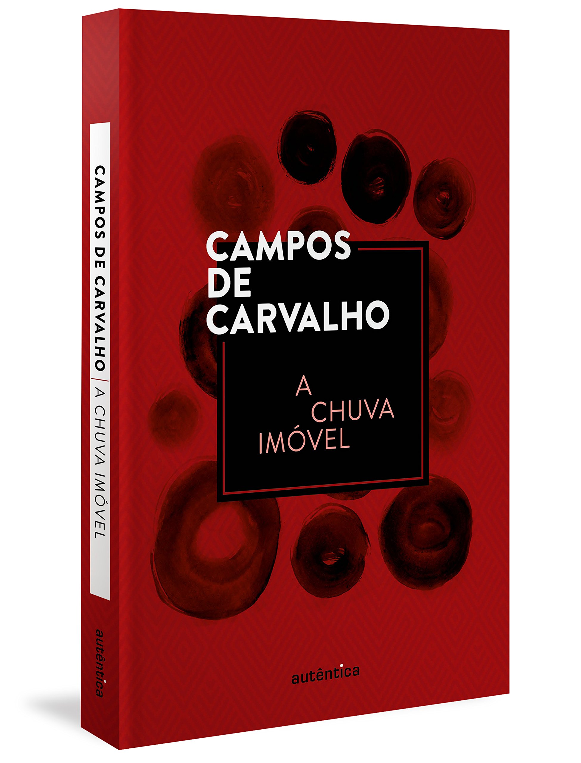 Resenha | A Chuva Imóvel – Campos de Carvalho